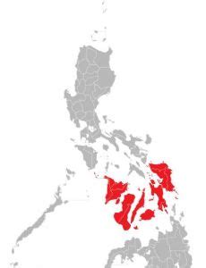 cities in visayas|Template : Largest cities and municipalities in the Visayas.